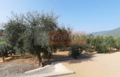 villa_in_vendita_a_Albenga13